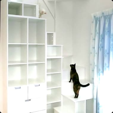 ロフト階段